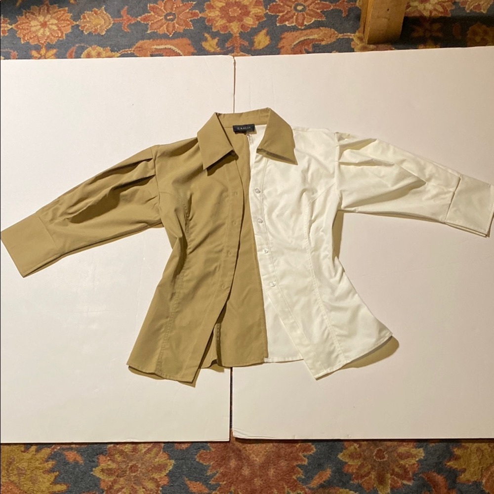 Chic Two-Tone Button-Up Blouse